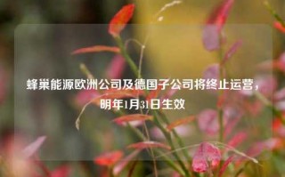 蜂巢能源欧洲公司及德国子公司将终止运营，明年1月31日生效