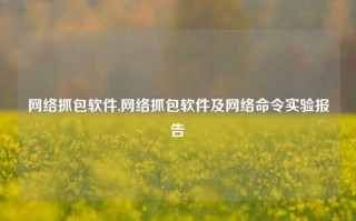 网络抓包软件,网络抓包软件及网络命令实验报告