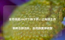 全市场超4100只个股下跌，上海国企改革概念股活跃，医药股集体调整