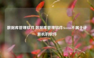 数据库管理软件,数据库管理软件Access不属于计算机的软件