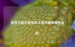 软件工程介绍,软件工程介绍有哪些内容?