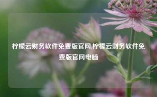 柠檬云财务软件免费版官网,柠檬云财务软件免费版官网电脑