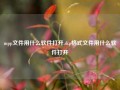 mpp文件用什么软件打开,skp格式文件用什么软件打开