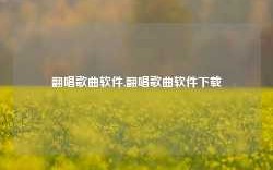 翻唱歌曲软件,翻唱歌曲软件下载