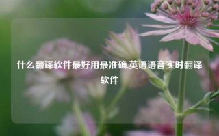 什么翻译软件最好用最准确,英语语音实时翻译软件