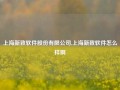 上海新致软件股份有限公司,上海新致软件怎么样啊