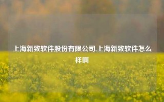 上海新致软件股份有限公司,上海新致软件怎么样啊