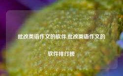 批改英语作文的软件,批改英语作文的软件排行榜