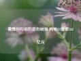 暴雪回归后的首份财报 网易Q3营收262亿元