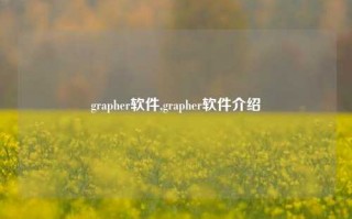 grapher软件,grapher软件介绍