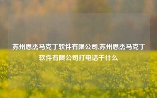 苏州思杰马克丁软件有限公司,苏州思杰马克丁软件有限公司打电话干什么