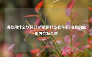 听歌用什么软件好,听歌用什么软件好?电脑的应用内存怎么查