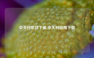 中关村软件下载,中关村应用下载