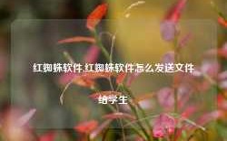 红蜘蛛软件,红蜘蛛软件怎么发送文件给学生