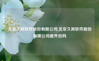 北京久其软件股份有限公司,北京久其软件股份有限公司是外包吗