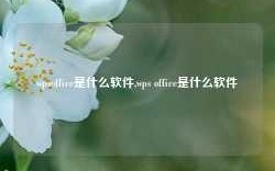 wpsoffice是什么软件,wps office是什么软件