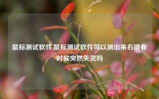 鼠标测试软件,鼠标测试软件可以测出来右键有时候突然失灵吗