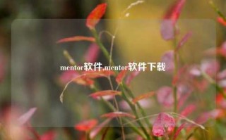 mentor软件,mentor软件下载