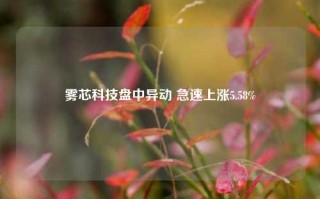 雾芯科技盘中异动 急速上涨5.58%