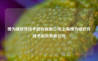 博为峰软件技术股份有限公司,上海博为峰软件技术股份有限公司