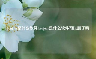 bonjour是什么软件,bonjour是什么软件可以删了吗