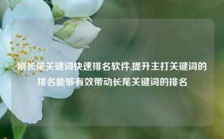 刷长尾关键词快速排名软件,提升主打关键词的排名能够有效带动长尾关键词的排名