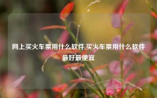 网上买火车票用什么软件,买火车票用什么软件最好最便宜