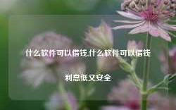 什么软件可以借钱,什么软件可以借钱利息低又安全