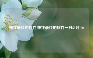 赚钱最快的软件,赚钱最快的软件一日50到100