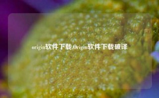 origin软件下载,Origin软件下载破译