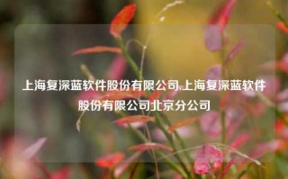 上海复深蓝软件股份有限公司,上海复深蓝软件股份有限公司北京分公司