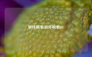 软件税率,软件税率6%