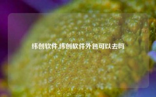 纬创软件,纬创软件外包可以去吗