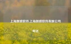 上海新致软件,上海新致软件有限公司电话