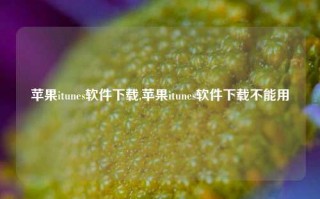 苹果itunes软件下载,苹果itunes软件下载不能用