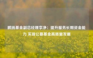 鹏扬基金副总经理李净：提升服务长期资金能力 实现公募基金高质量发展