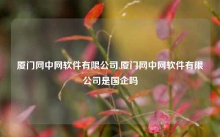 厦门网中网软件有限公司,厦门网中网软件有限公司是国企吗