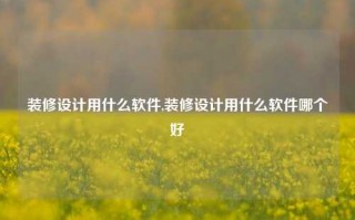 装修设计用什么软件,装修设计用什么软件哪个好