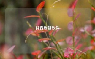 抖音刷赞软件