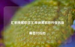 汇率换算软件,汇率换算软件升级到版需要付钱吗