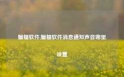 蝙蝠软件,蝙蝠软件消息通知声音哪里设置