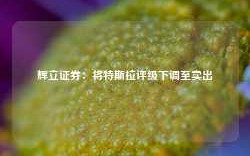 辉立证券：将特斯拉评级下调至卖出