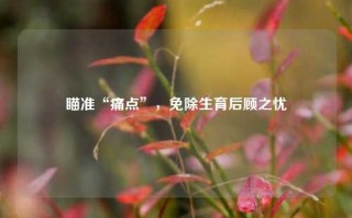 瞄准“痛点”，免除生育后顾之忧