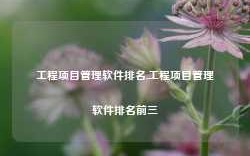 工程项目管理软件排名,工程项目管理软件排名前三