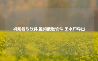 视频截取软件,视频截取软件 无水印导出