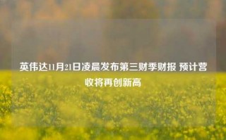 英伟达11月21日凌晨发布第三财季财报 预计营收将再创新高