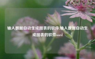 输入数据自动生成图表的软件,输入数据自动生成图表的软件word