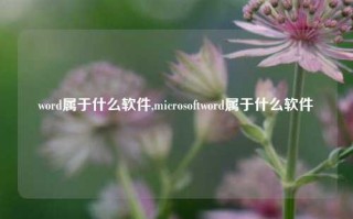 word属于什么软件,microsoftword属于什么软件