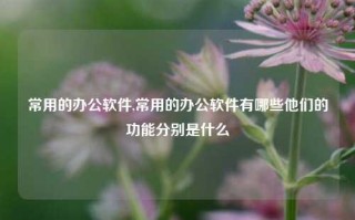 常用的办公软件,常用的办公软件有哪些他们的功能分别是什么