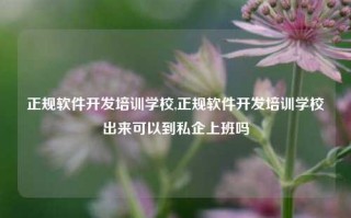 正规软件开发培训学校,正规软件开发培训学校出来可以到私企上班吗